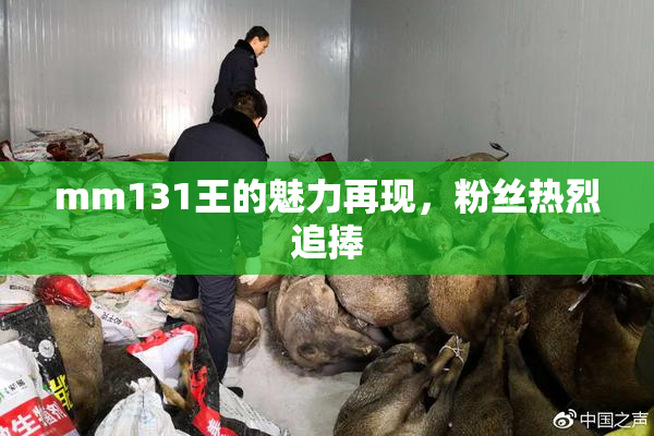 mm131王的魅力再现，粉丝热烈追捧
