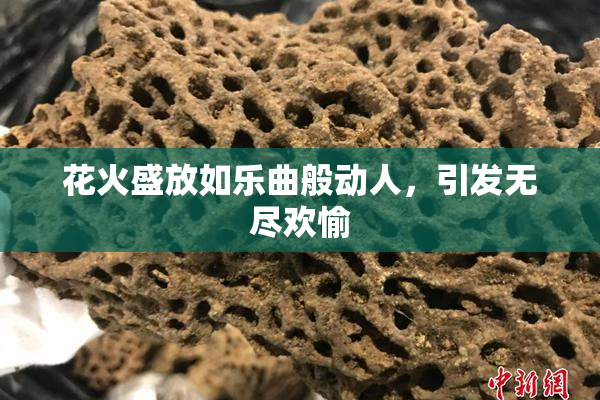 花火盛放如乐曲般动人，引发无尽欢愉