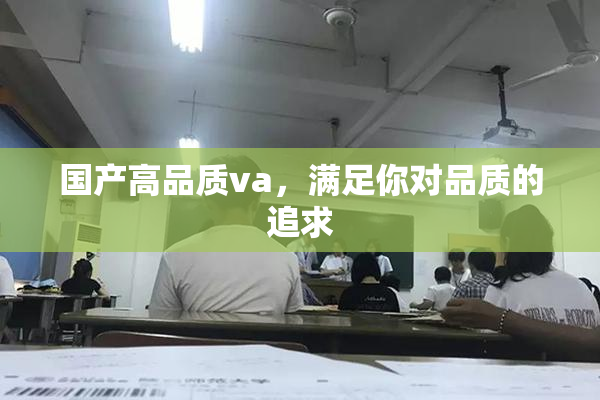 国产高品质va，满足你对品质的追求