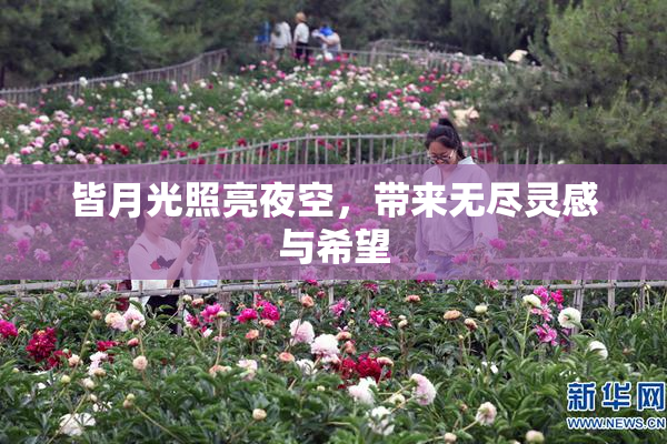 皆月光照亮夜空，带来无尽灵感与希望