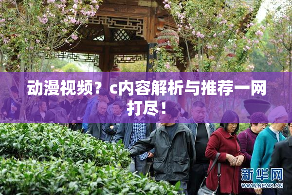 动漫视频？c内容解析与推荐一网打尽！
