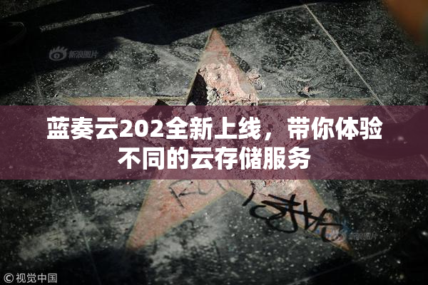蓝奏云202全新上线，带你体验不同的云存储服务