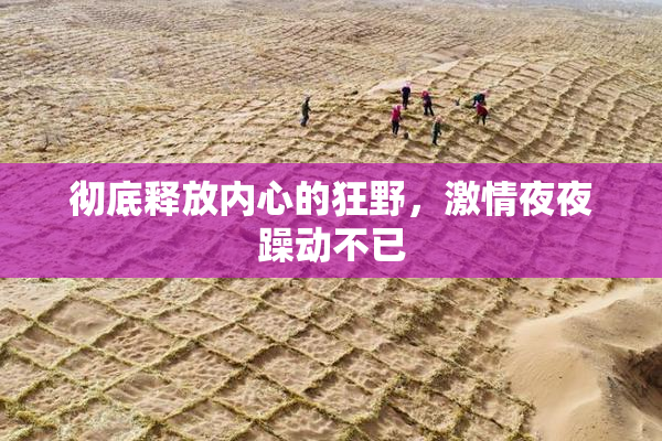 彻底释放内心的狂野，激情夜夜躁动不已