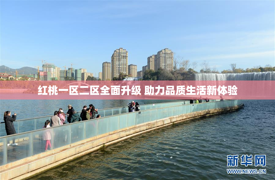 红桃一区二区全面升级 助力品质生活新体验