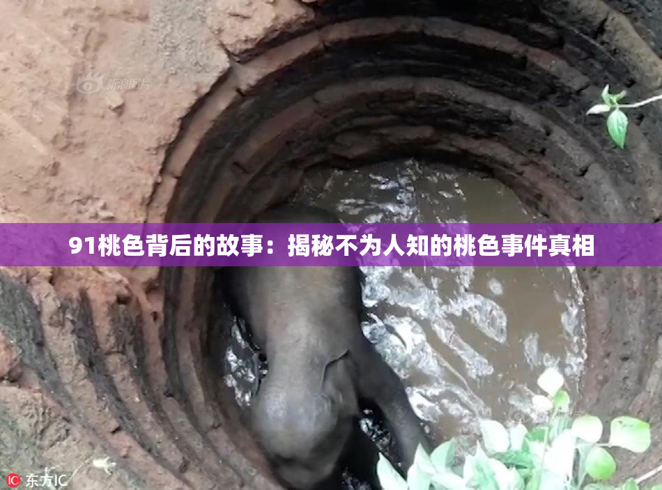 91桃色背后的故事：揭秘不为人知的桃色事件真相