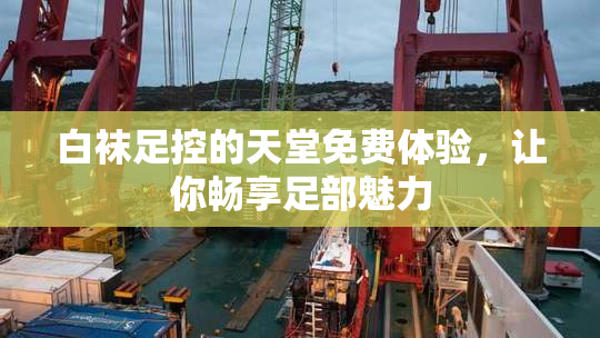 白袜足控的天堂免费体验，让你畅享足部魅力