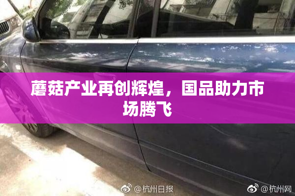蘑菇产业再创辉煌，国品助力市场腾飞