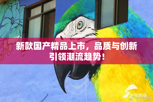 新款国产精品上市，品质与创新引领潮流趋势！