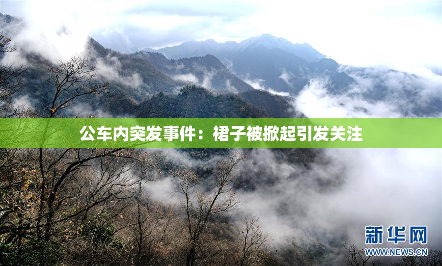 公车内突发事件：裙子被掀起引发关注