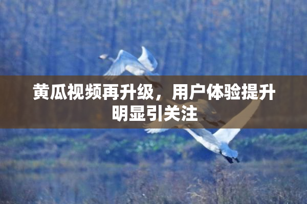黄瓜视频再升级，用户体验提升明显引关注