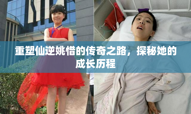 重塑仙逆姚惜的传奇之路，探秘她的成长历程