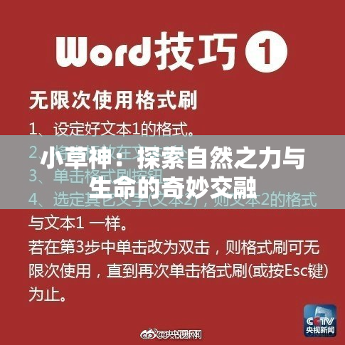 小草神：探索自然之力与生命的奇妙交融