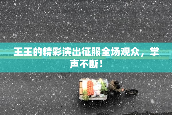 王王的精彩演出征服全场观众，掌声不断！
