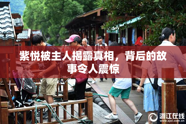 紫悦被主人揭露真相，背后的故事令人震惊