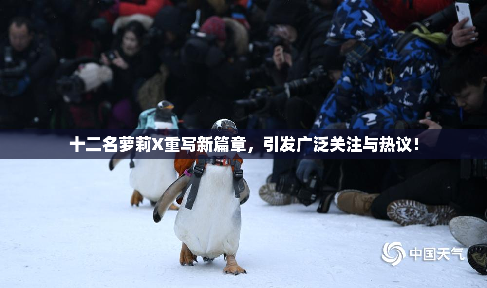 十二名萝莉X重写新篇章，引发广泛关注与热议！