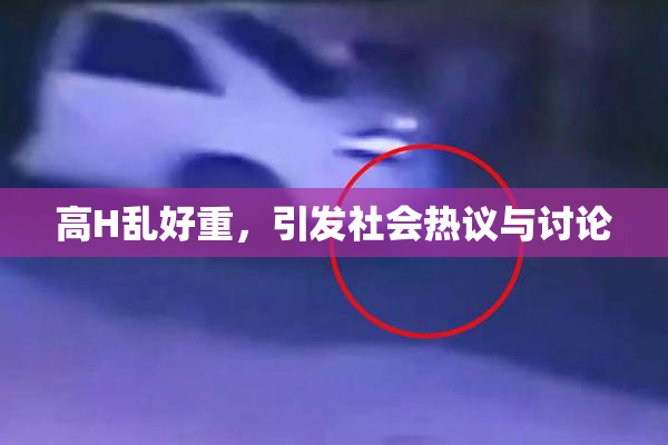 高H乱好重，引发社会热议与讨论