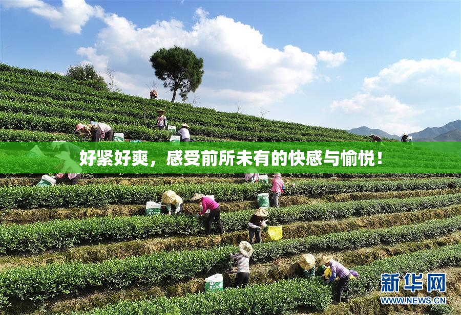 好紧好爽，感受前所未有的快感与愉悦！