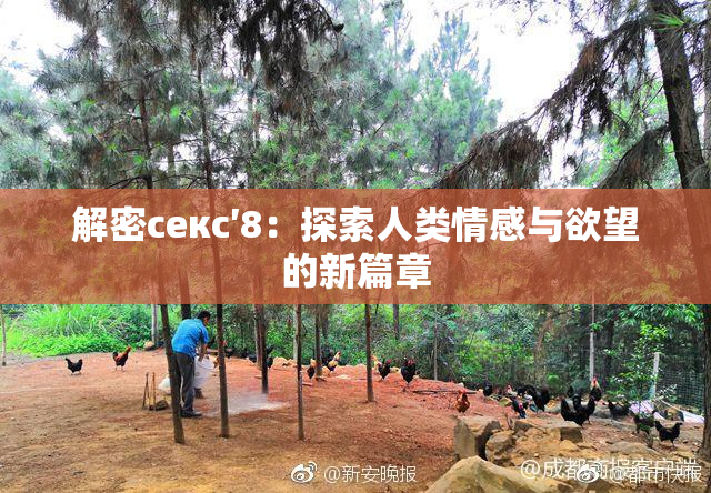 解密секс′8：探索人类情感与欲望的新篇章