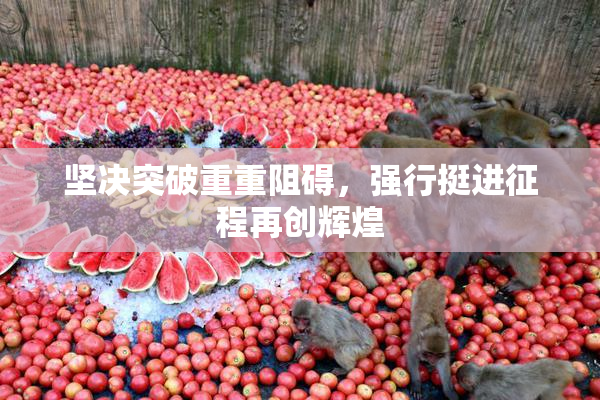 坚决突破重重阻碍，强行挺进征程再创辉煌