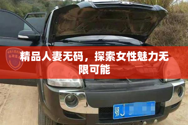 精品人妻无码，探索女性魅力无限可能
