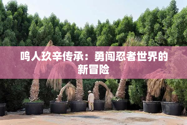 鸣人玖辛传承：勇闯忍者世界的新冒险