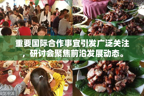 重要国际合作事宜引发广泛关注，研讨会聚焦前沿发展动态。