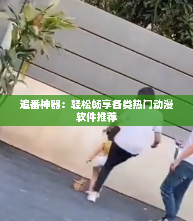 追番神器：轻松畅享各类热门动漫软件推荐