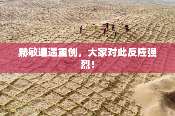 赫敏遭遇重创，大家对此反应强烈！