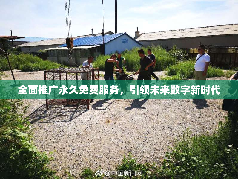 全面推广永久免费服务，引领未来数字新时代