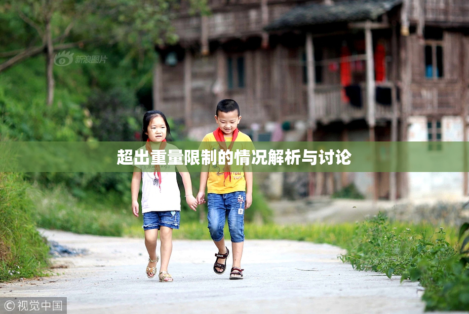 超出重量限制的情况解析与讨论