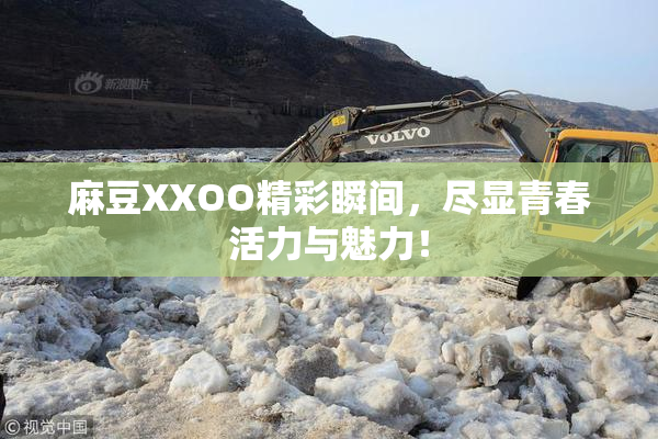 麻豆XXOO精彩瞬间，尽显青春活力与魅力！