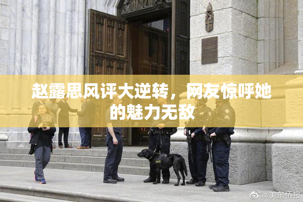 赵露思风评大逆转，网友惊呼她的魅力无敌