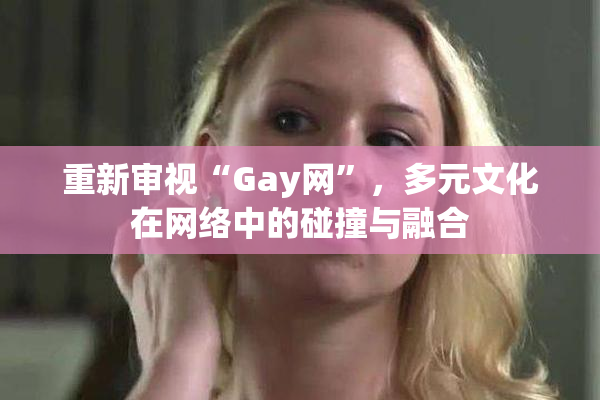 重新审视“Gay网”，多元文化在网络中的碰撞与融合