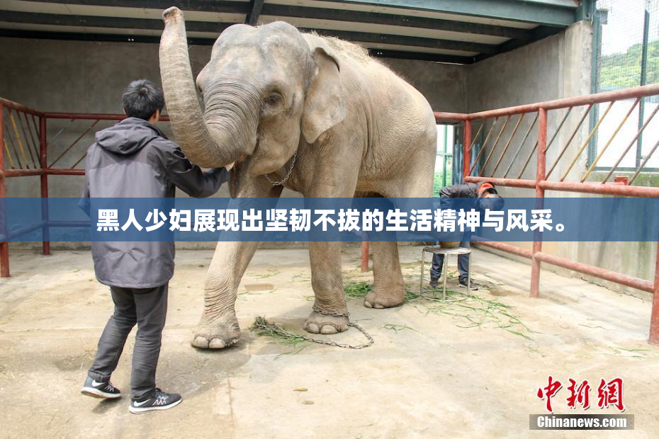 黑人少妇展现出坚韧不拔的生活精神与风采。
