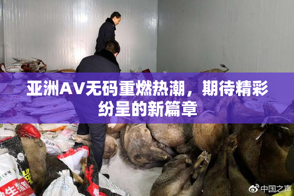 亚洲AV无码重燃热潮，期待精彩纷呈的新篇章