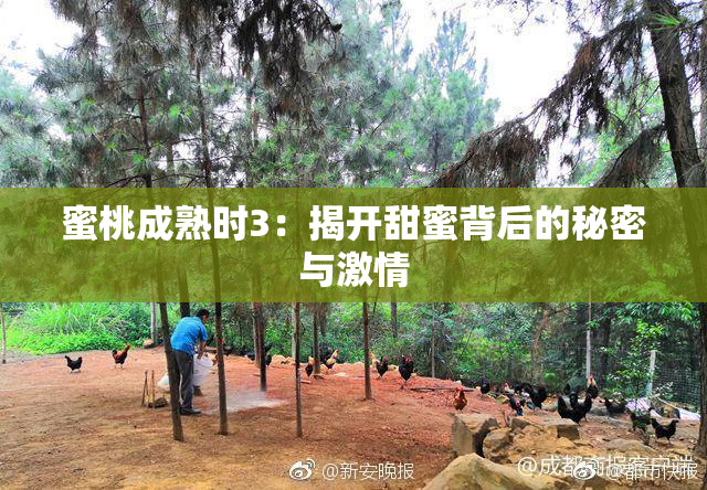 蜜桃成熟时3：揭开甜蜜背后的秘密与激情