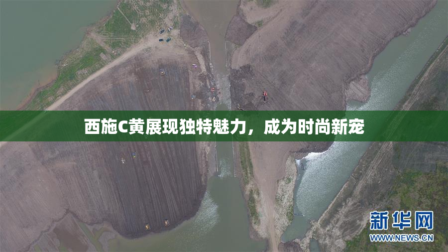 西施C黄展现独特魅力，成为时尚新宠