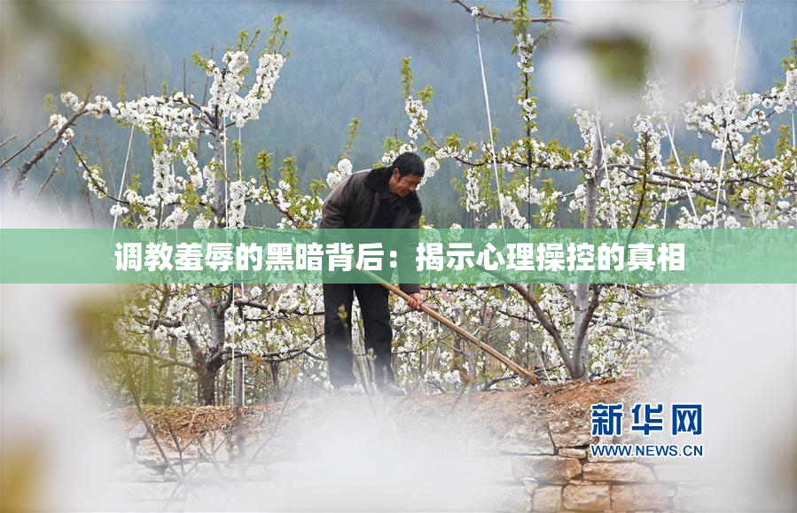 调教羞辱的黑暗背后：揭示心理操控的真相