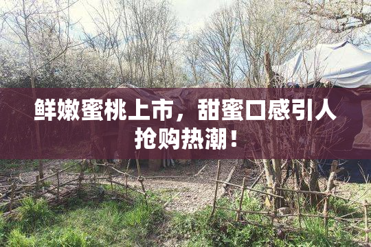 鲜嫩蜜桃上市，甜蜜口感引人抢购热潮！