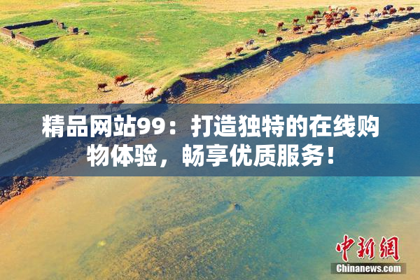 精品网站99：打造独特的在线购物体验，畅享优质服务！