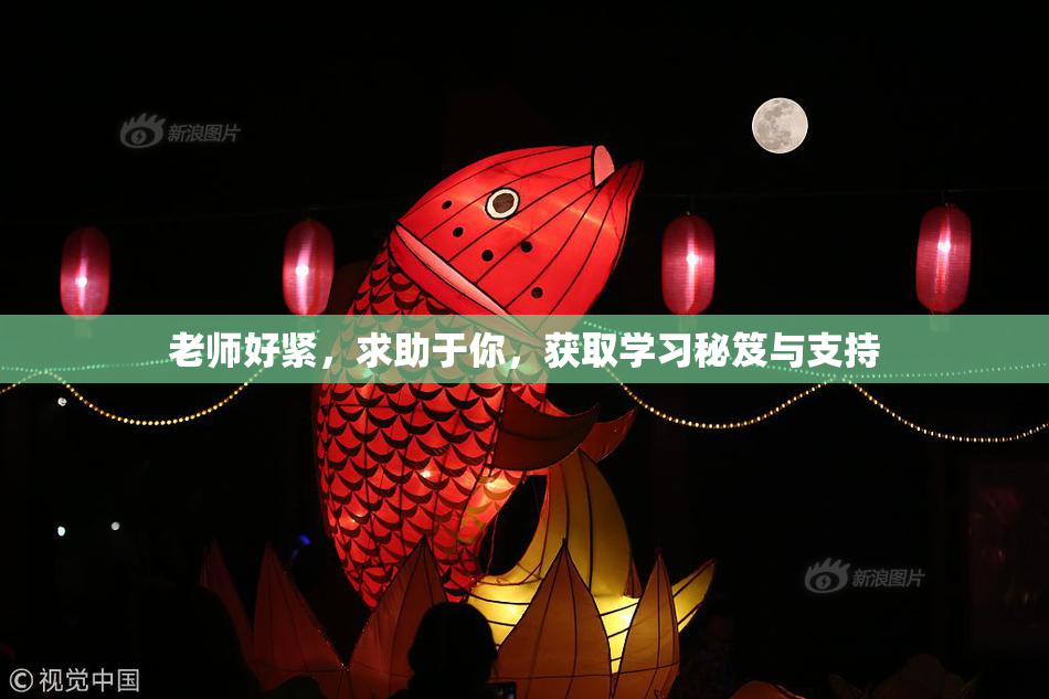 老师好紧，求助于你，获取学习秘笈与支持