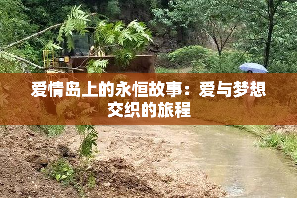 爱情岛上的永恒故事：爱与梦想交织的旅程