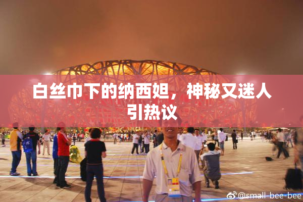 白丝巾下的纳西妲，神秘又迷人引热议
