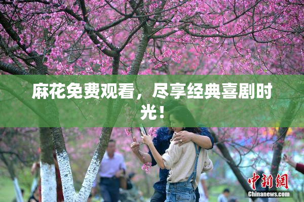 麻花免费观看，尽享经典喜剧时光！