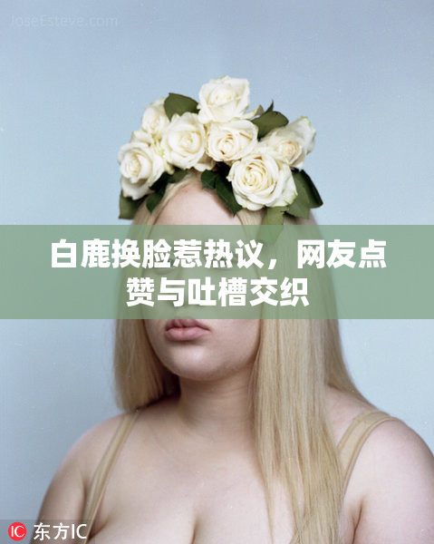 白鹿换脸惹热议，网友点赞与吐槽交织