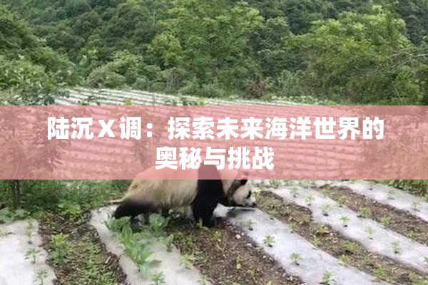陆沉Ⅹ调：探索未来海洋世界的奥秘与挑战