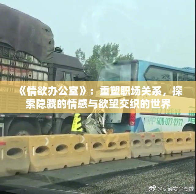 《情欲办公室》：重塑职场关系，探索隐藏的情感与欲望交织的世界
