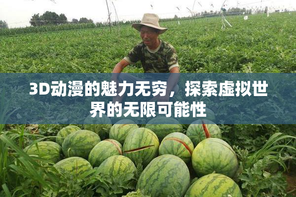 3D动漫的魅力无穷，探索虚拟世界的无限可能性