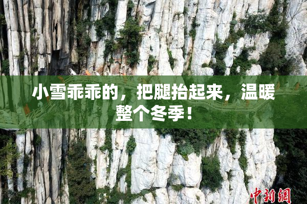 小雪乖乖的，把腿抬起来，温暖整个冬季！