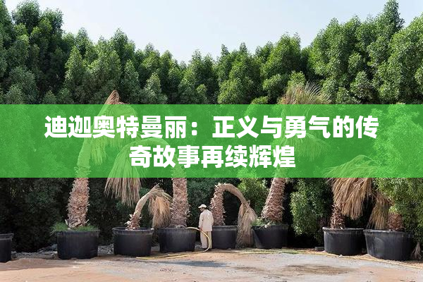迪迦奥特曼丽：正义与勇气的传奇故事再续辉煌